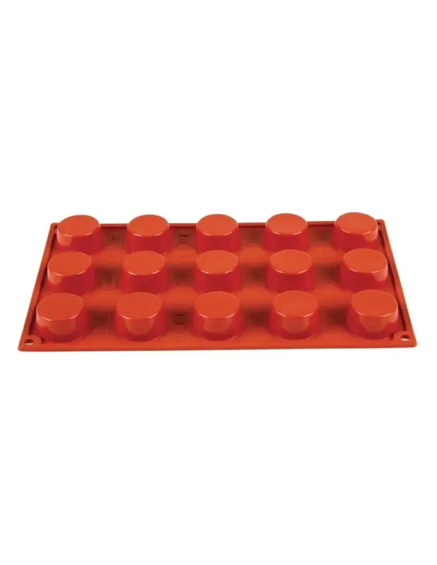 Retour Gratuit Plaque 15 petits-fours en silicone Pavoni Formaflex