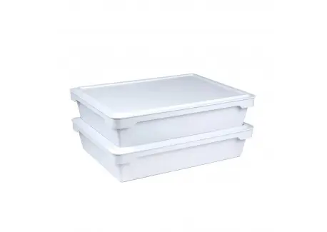 Boites à Pâtons Pizza avec Couvercles 42x32x9 cm 2 pcs Nouvelle Collection