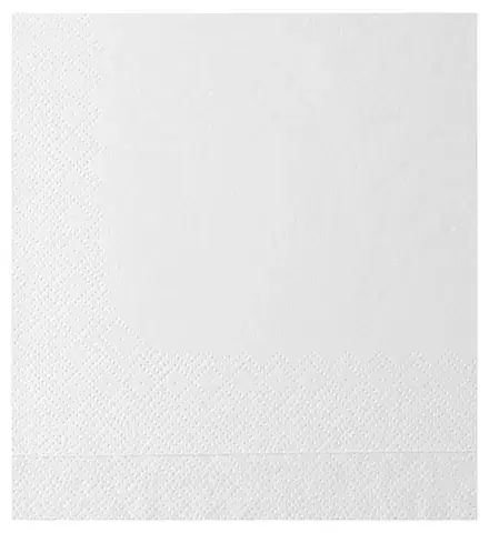 Serviette ouate 29x29cm 2 feuilles décalées blanc x200 Promotion Saisonnière