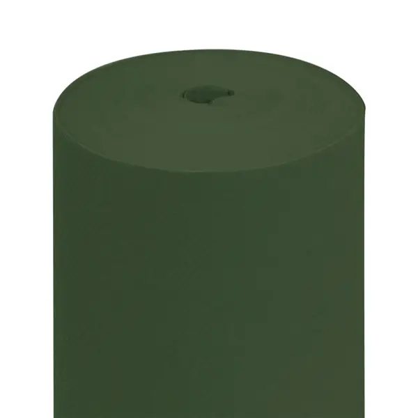 « TÊTE-À-TÊTE » PRÉ. 120CM (20 FEU.)55 G/M2 0,40×24 M VERT JAGUAR AIRLAID (6 UNITÉ) – Garcia de Pou Retour Gratuit