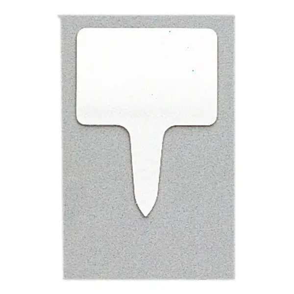 10 U. ÉTIQUETTES À PRIX RECTANGULAIRES8x5,5×0,1 CM BLANC PVC (1 UNITÉ) – Garcia de Pou Offre Limitée