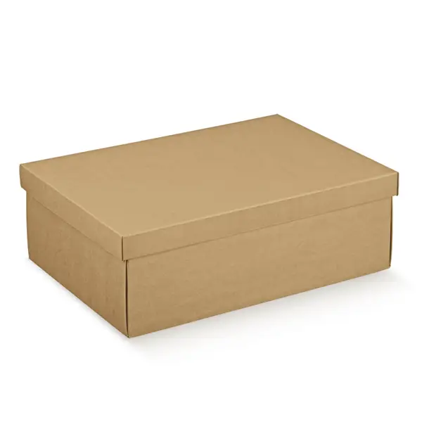 10 U. BOÎTES RECTANGULAIRES45,5x32x15 CM NATUREL KRAFT (1 UNITÉ) – Garcia de Pou Offre Spéciale