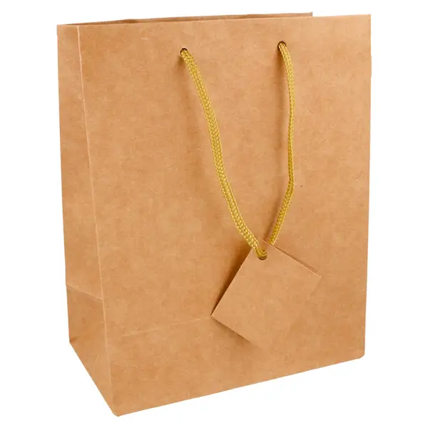 10 U. SACS BOUTIQUE ANSES CORDON175 G/M2 18+10×22,7 CM NATUREL KRAFT (1 UNITÉ) – Garcia de Pou Prix Cassé