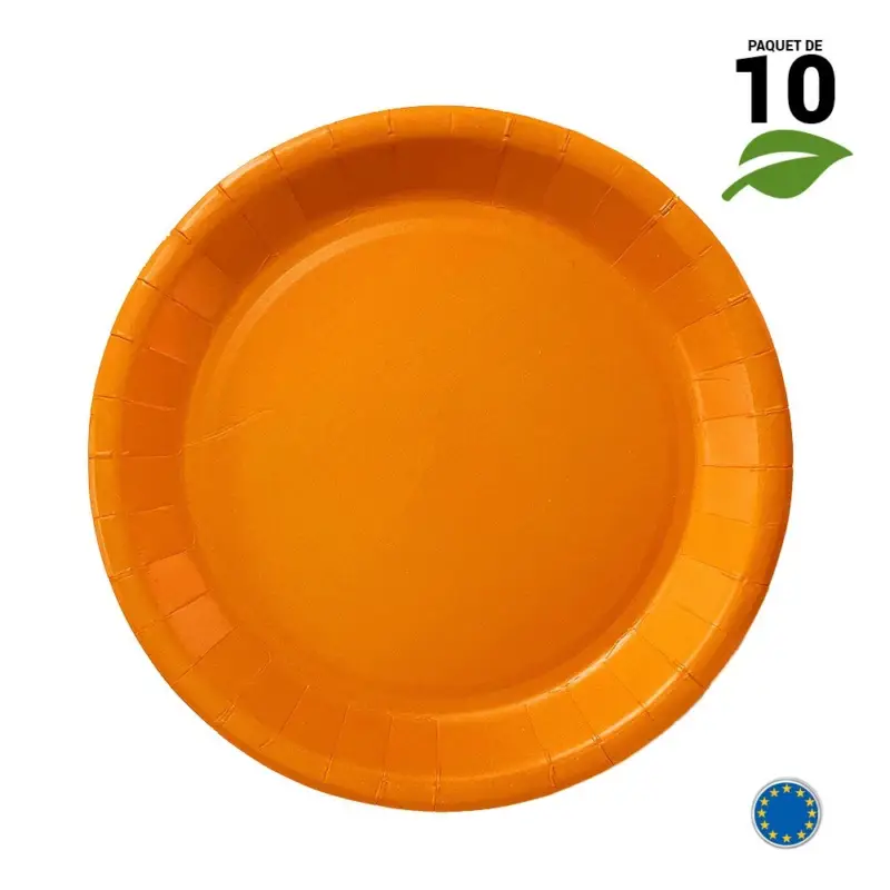 10 Assiettes carton orange 22 cm Expédié Aujourd’hui