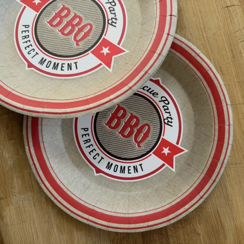 10 Assiettes carton Barbecue party – 22,5 cm Offre Du Jour
