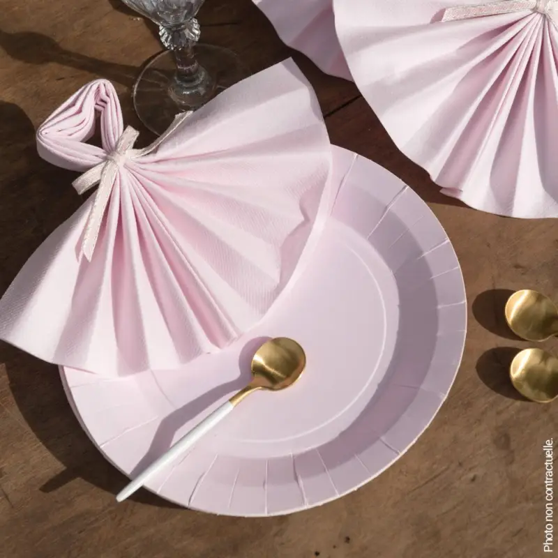 10 Grandes assiettes rondes rose clair premium 22,5 cm Table&rsquo;Colors Meilleur Prix