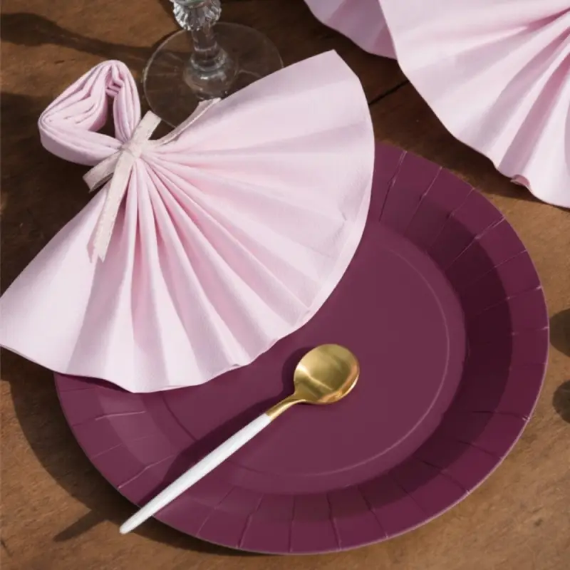10 Grandes assiettes rondes aubergine premium 22,5 cm Table&rsquo;Colors Prix Cassé