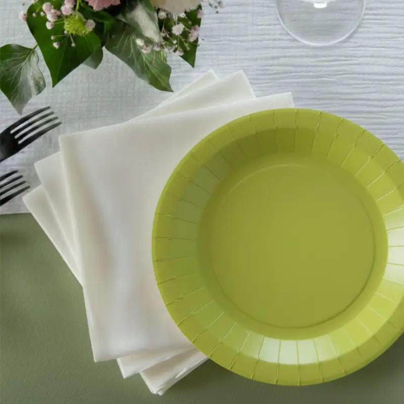 10 Petites assiettes rondes kiwi premium 17,5 cm Table&rsquo;Colors Acheter Direct