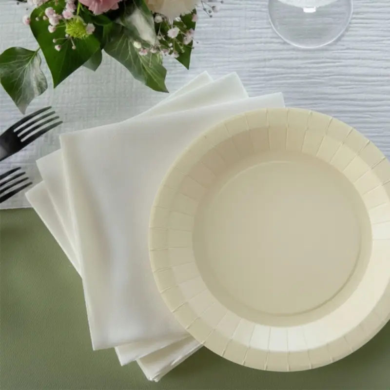10 Petites assiettes rondes ivoire premium 17,5 cm Table&rsquo;Colors Offre Exclusive