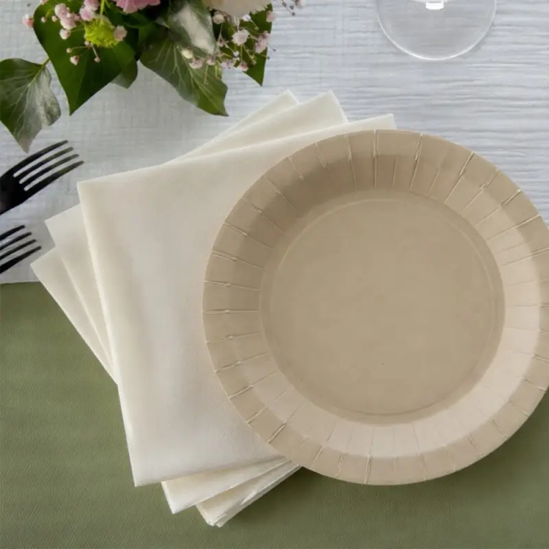 10 Petites assiettes rondes gris beige premium 17,5 cm Table&rsquo;Colors Dernière Chance