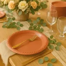 20 assiettes plastique Terracotta 22cm Achat Immédiat