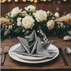 Vente Flash Serviette pré pliée en papier Argent x 12 pièces